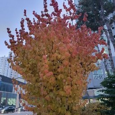 rladnwls0099's profile picture. 