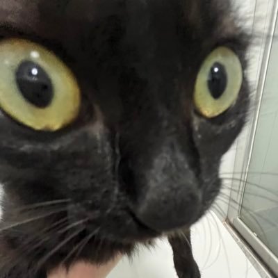 miemieさんのプロフィール画像