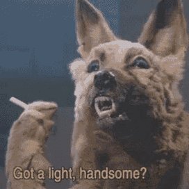 themysteq's profile picture. Drogi powinny być bezpieczne i dla wszystkich.
Fan skalkulowanego ryzyka.