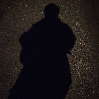 Shrödinger's Analyst🏮🧭🏮// Gonzo Redacted Neuroshit Psyops Warfare // Gamer // Frontierer // RP Mostly // No DM // neurodiag // Opinions are my own