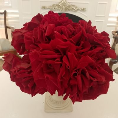 Rast2828's profile picture. looking for friends, talk.