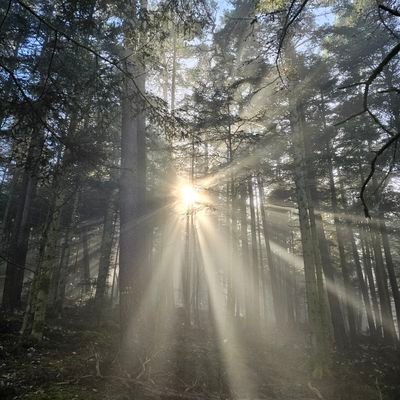 Schtrou29627652's profile picture. 내란수괴 윤석렬-김건희 무기징역이나 사형, 내란동조 국힘당 정당해산 원하는 유럽 동포. 오직 공법을 물같이 정의를 하수같이! 율법을 버린 자는 악인을 칭찬하나 율법을 지키는 자는 악인을 대적하느니라!