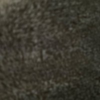 — (@democracyruls) 's Twitter Profile