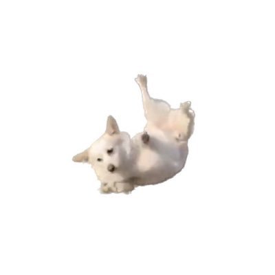 srkwsim0301's profile picture. 