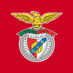 SL Benfica Futebol Feminino (Apoio) (@benficafem) Twitter profile photo SL Benfica Futebol Feminino (Apoio) (@benficafem) Twitter profile photo