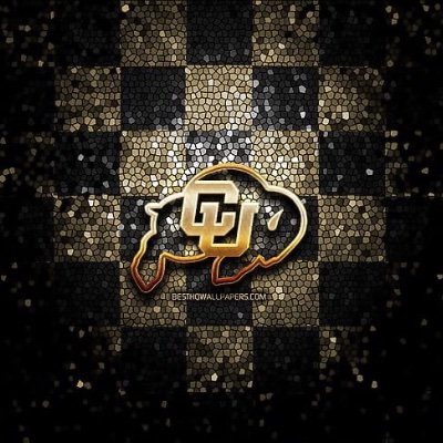 E8242837525116's profile picture. It's all about the Buffaloes #SkoBuffs 🦬😤🔥