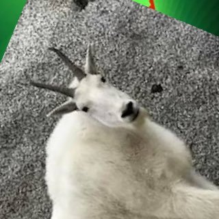 OscarMario40987's profile picture. 