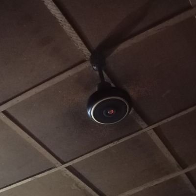 bappah667826's profile picture. workhard, pray, hustle.