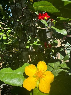 Hien2024kien's profile picture. 