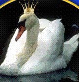 Your weekly forecast for instant guidance for your love & career life