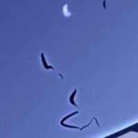 EUMIN_H's profile picture. ONLY. 멘션문의. 한국계좌.한국주소 / 택배는 롯데택배 일반택배 만