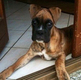 Mistret82's profile picture. 