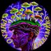 Pheno Dreamers (@twagner73992) Twitter profile photo Pheno Dreamers (@twagner73992) Twitter profile photo