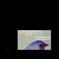 ... (@mae_acr) 's Twitter Profile