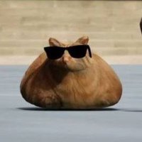 Pablo the Race Cat (@pabloracecatsol) 's Twitter Profile Photo