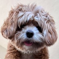 Pam (@web3pam) 's Twitter Profile Photo Pam (@web3pam) 's Twitter Profile Photo