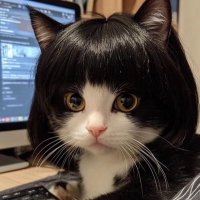 bucurukobur (@susartikltfn) Twitter profile photo