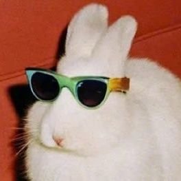 queijomeiacura's profile picture. Classical Liberal