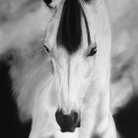 Pegasus (@grub1790) 's Twitter Profile Photo Pegasus (@grub1790) 's Twitter Profile Photo