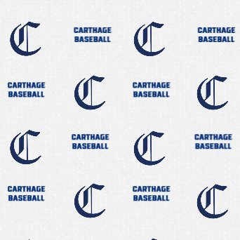 CHS Baseball Profile