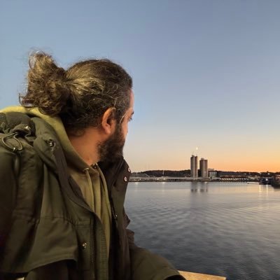 Edris samaniさんのプロフィール画像