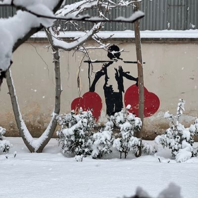 SusannahWalden's profile picture. Journalist @AFP