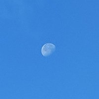 さと (@realcomu) 's Twitter Profile