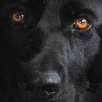 Mack (@big_mack5501) 's Twitter Profile