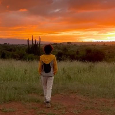 Notes on nomadism, crypto, privacy, freedom & AI 🎒 🌳 🛖 🛺 🏄 🌊 🪂 🤿