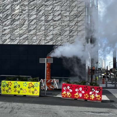 Mcphearson56942's profile picture. 