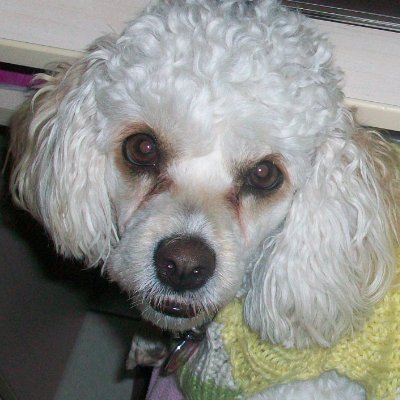hergein's profile picture.