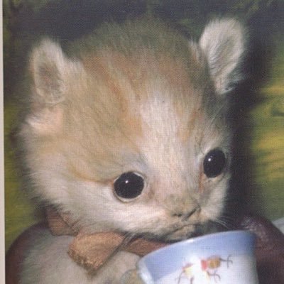 bornin22june's profile picture. „I wish I was dead already”