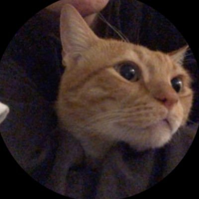 RaghadMU01's profile picture. 