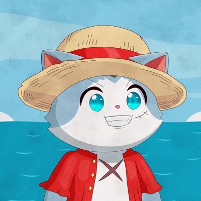 solana||memes||cruise
