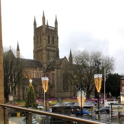 birdlov3r's profile picture. 