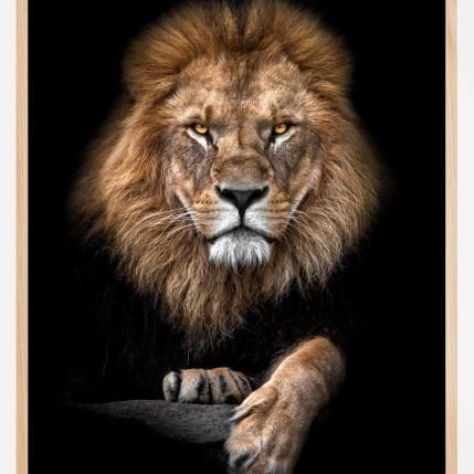 ErwinB73's profile picture. crypto (alpha) gems hunter and investor, non duality