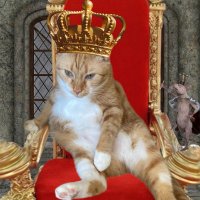 U Live U Learn (@sucks2bus) 's Twitter Profile