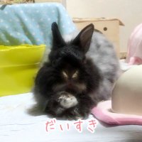 まきぽよ。 (@7_ule0) 's Twitter Profile