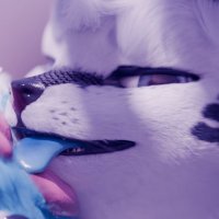 Yani (@snowfoxyani) 's Twitter Profile Photo Yani (@snowfoxyani) 's Twitter Profile Photo