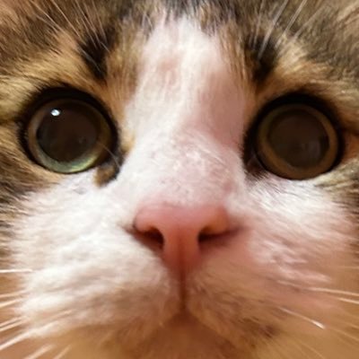 Alterno momenti seri ai commenti trash per non pensare ai problemi della vita
