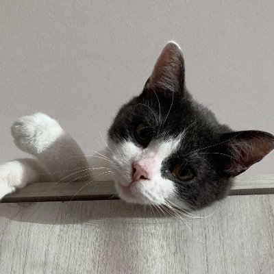 denidoingathing's profile picture. 🌿truthfully i’m just socially awkward, not a smooth talker🌿