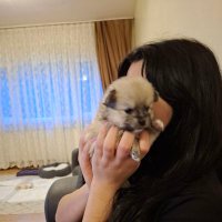 TANEM (@tanem0424) Twitter profile photo