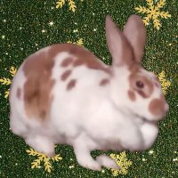 Charlotte de Chatillôn (@charlottedecha7) 's Twitter Profile Photo Charlotte de Chatillôn (@charlottedecha7) 's Twitter Profile Photo