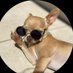 EGY benji (@benji971799257) Twitter profile photo EGY benji (@benji971799257) Twitter profile photo