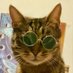 Jamiryo FX (@jamiryobtc) Twitter profile photo Jamiryo FX (@jamiryobtc) Twitter profile photo