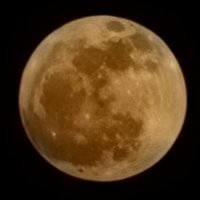 acacia_2019 (@acacia_2019) Twitter profile photo