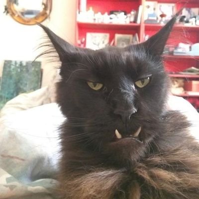 BrightRei2's profile picture. i cant think of anything right now. Im just being dumb and useless as always.