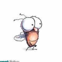 FlyGuy (@officalflyguy) 's Twitter Profile Photo