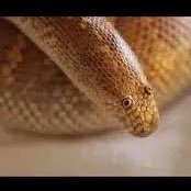 LarsenNath97739's profile picture. 