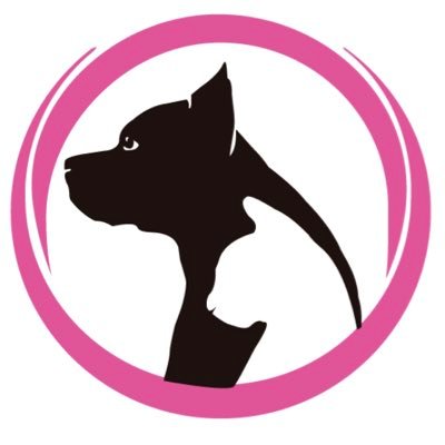 strongpets21's profile picture. Cuenta dedicada a los amantes de los animales 💖